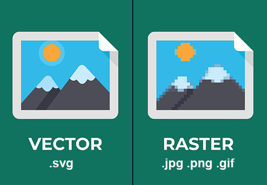 imagen versus vector