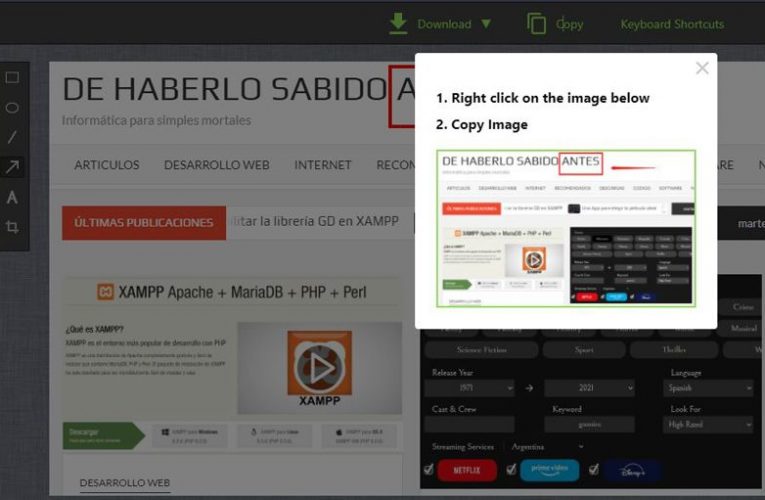 Extensión para capturar la pantalla